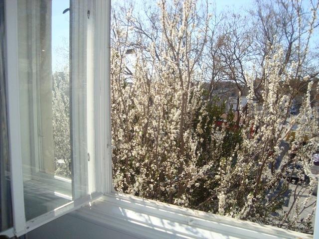 Riki Accommodation Split Chambre photo